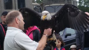 20150530-125808.jpg