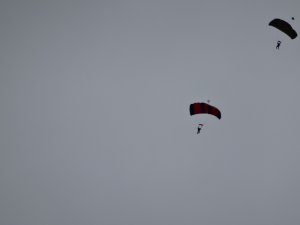 dsc00674.jpg